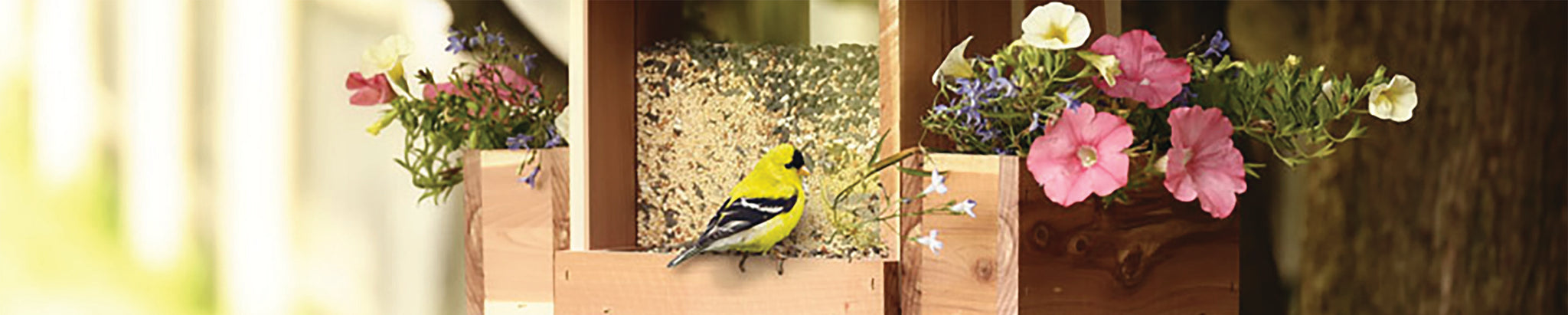 Cedar Wood Miscellaneous